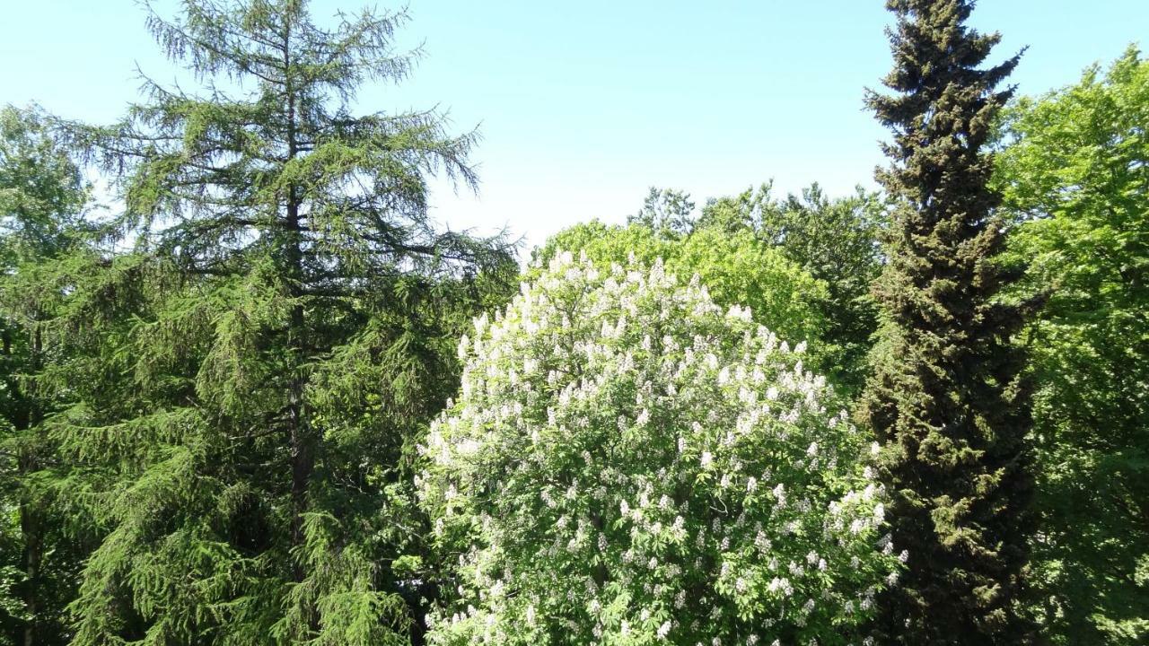 Waldschloss Parow Koserow المظهر الخارجي الصورة